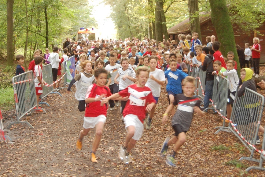 Waldlauf2